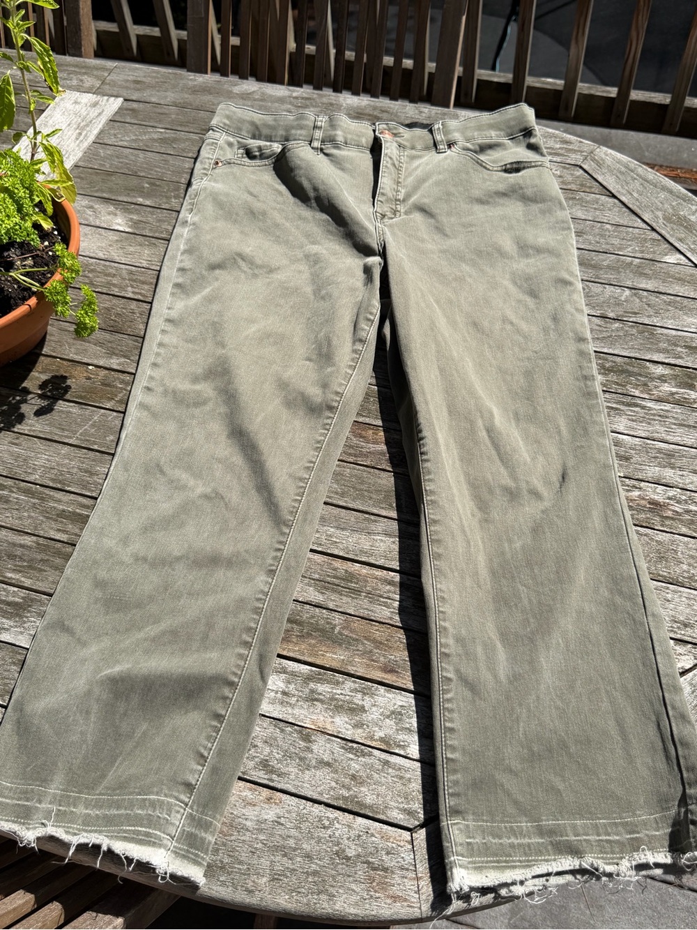 Tribal Jeans Casual Olive Green Cotton Pants 14 Cropped Raw Edge